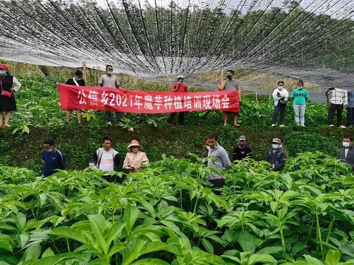 橡胶育苗袋，绿色农业的新选择