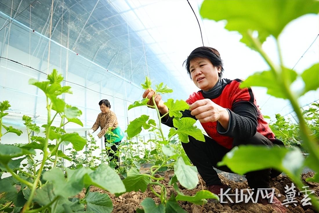 梦寐以求的温柔 第2页