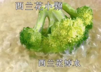 牡蛎育苗袋，引领海洋生态养殖革命的新篇章