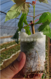 植树育苗袋，绿色生态的得力伙伴