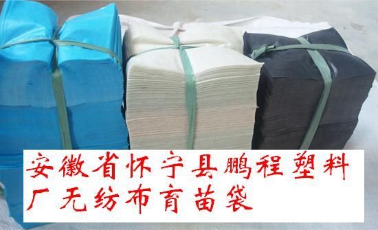 绿色农业新选择，无纺织育苗袋应用探讨