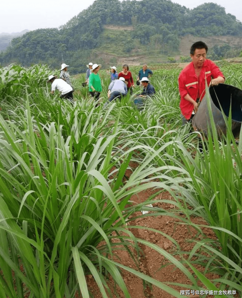 远方的呼唤 第2页