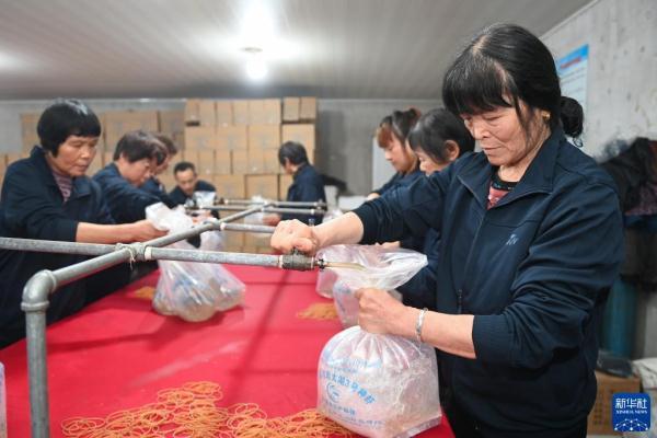 说好的永远只是一个背影り 第2页