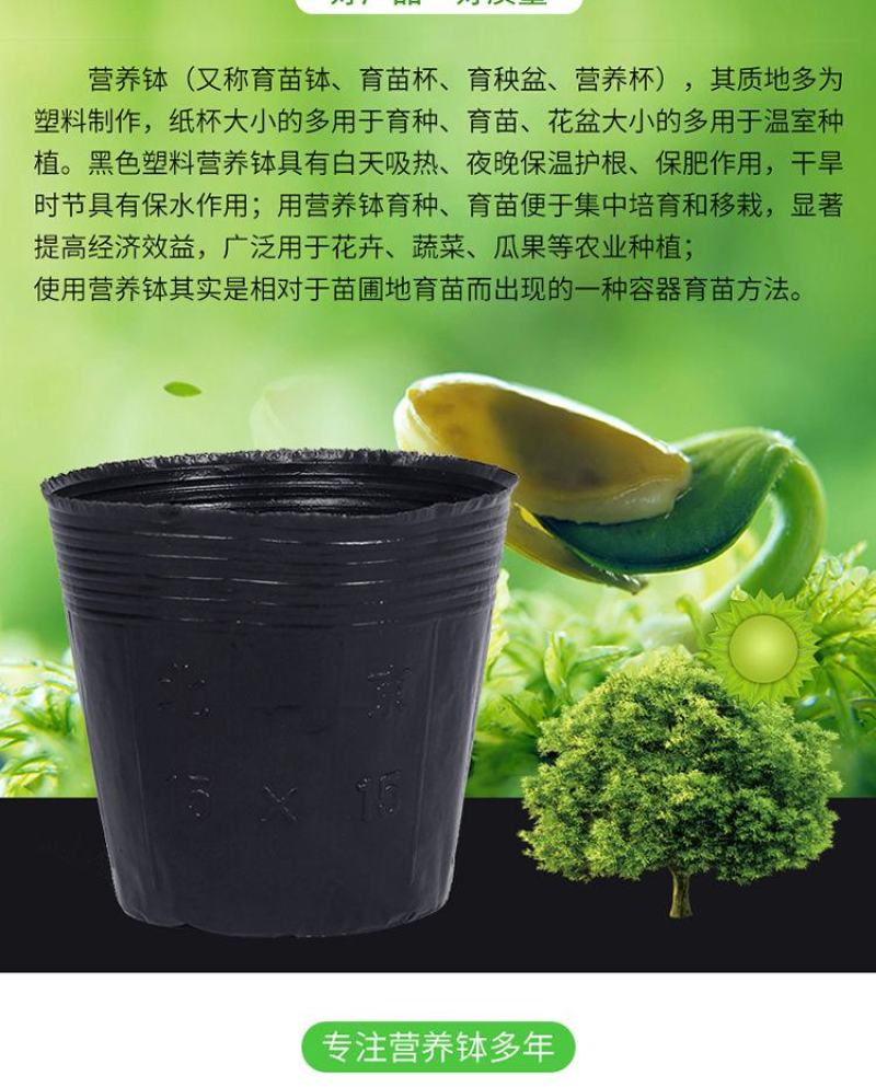 营养袋育苗袋的用途与现代农业应用探究