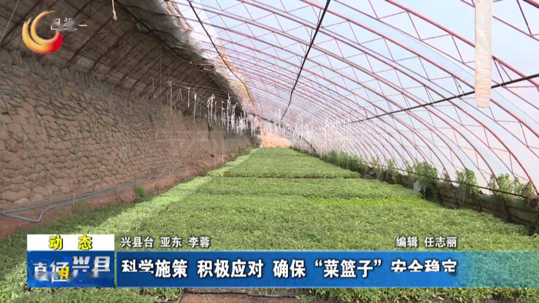 冠幅与育苗袋，探究植物生长的奥秘与紧密关联