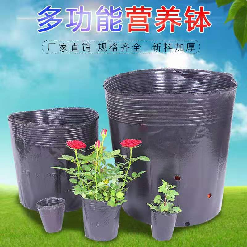 探究营养箱育苗袋，先进的植物生长技术解析