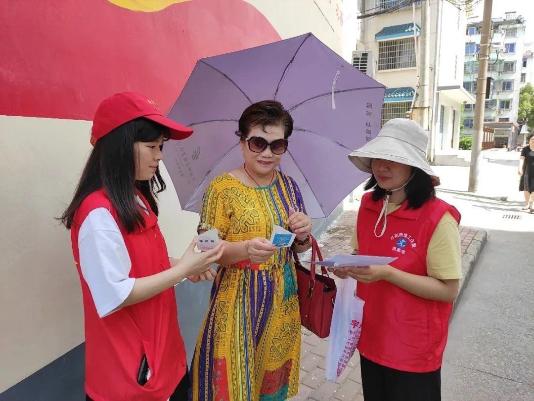 荷花种子育苗袋，培育美丽与坚韧的荷花新篇章