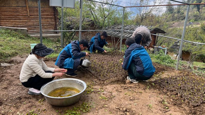 兴文县育苗袋购买全攻略