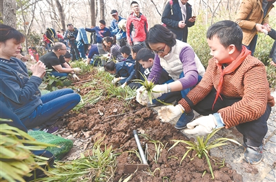 绿色生态革新，植树育苗与塑料袋的巧妙结合之路