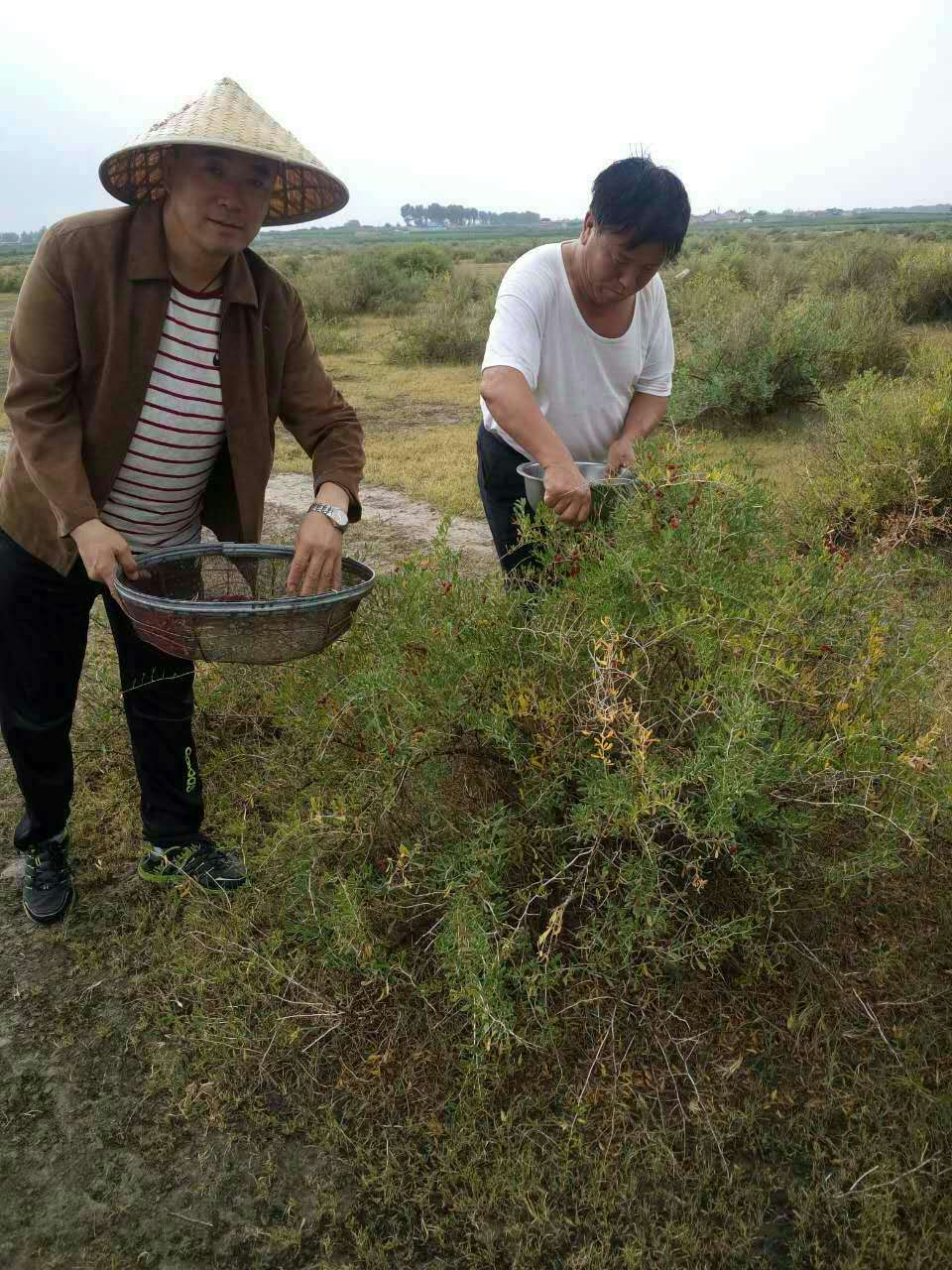 育苗袋排水方法及注意事项