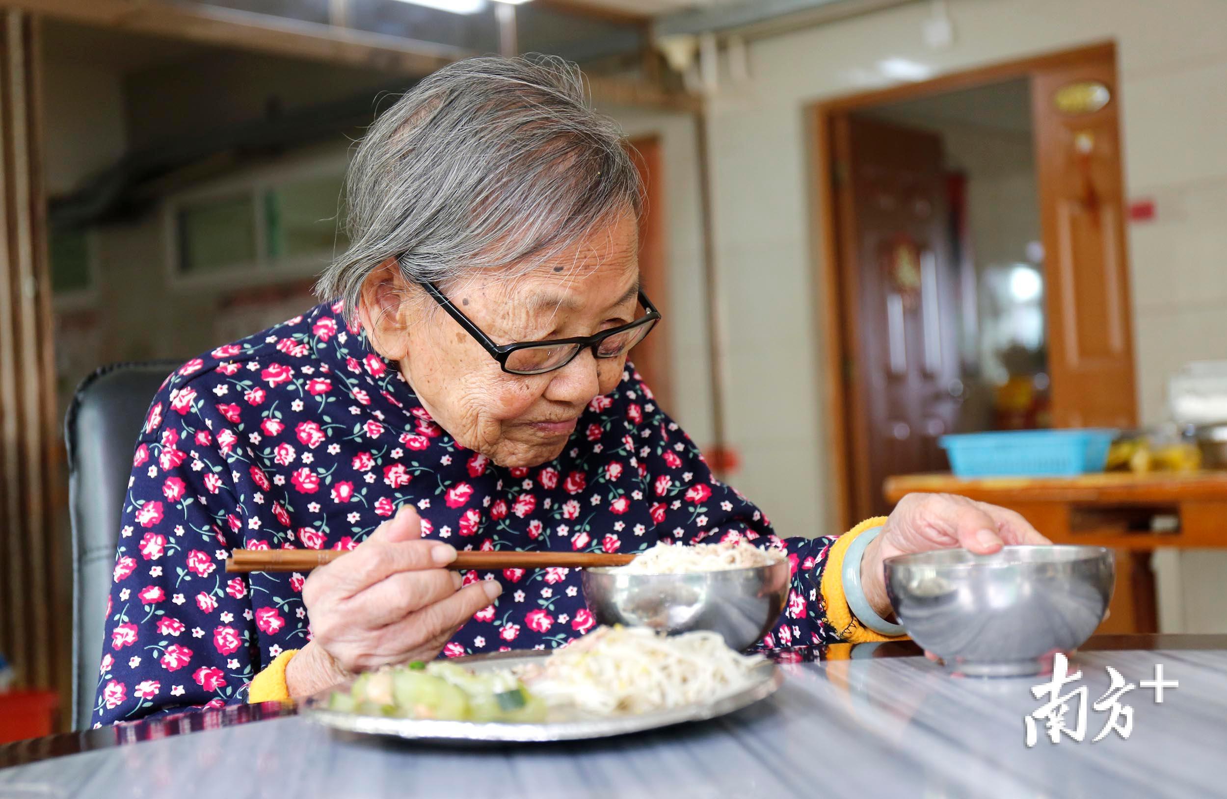 长寿花育苗袋扦插技巧，视频教程详解指南