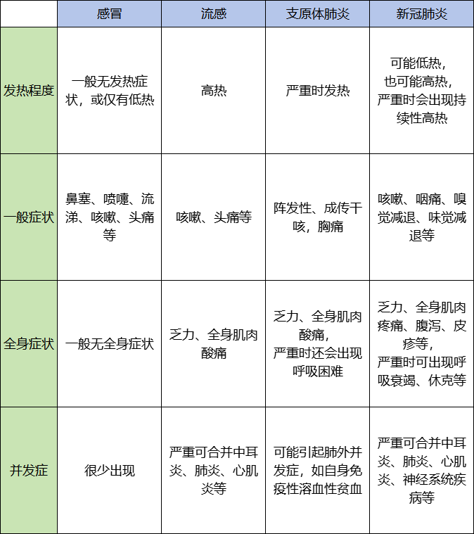 种植密度换算育苗袋技术详解及应用解析