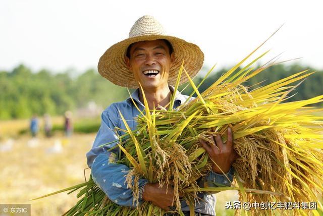 水稻恒温育苗暗化袋，技术原理与优势分析