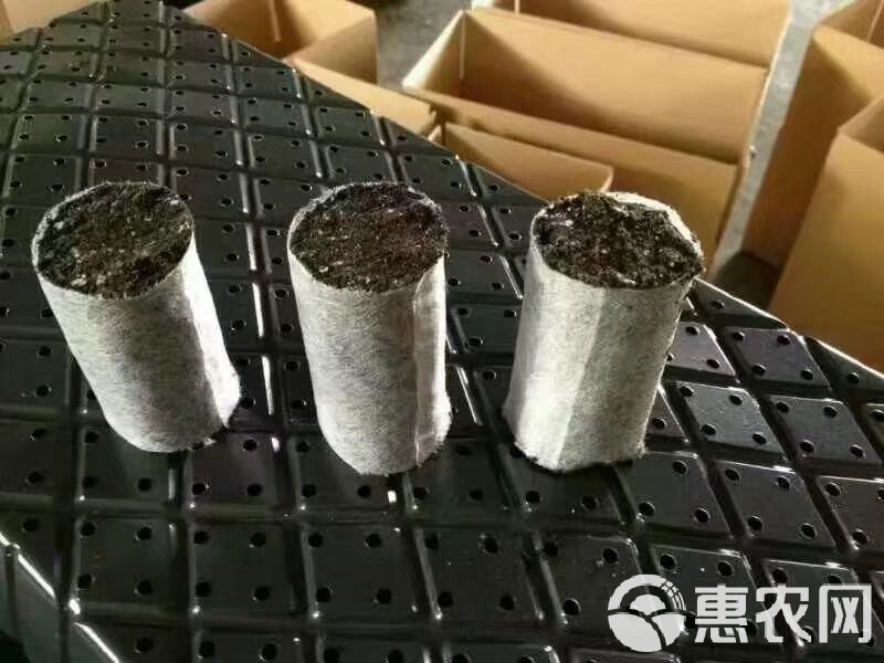 育苗袋钢管焊接工艺与技术深度探讨