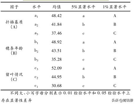 育苗袋扦插苗规格表格及其应用指南