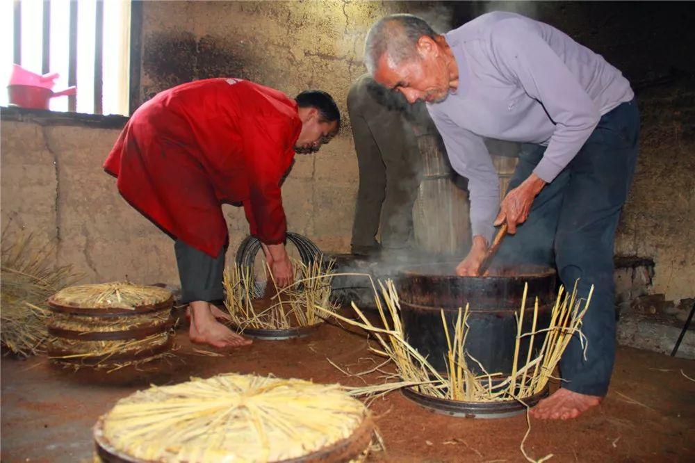 广南东昌农林茶油育苗袋，绿色生态种植的新标题选择