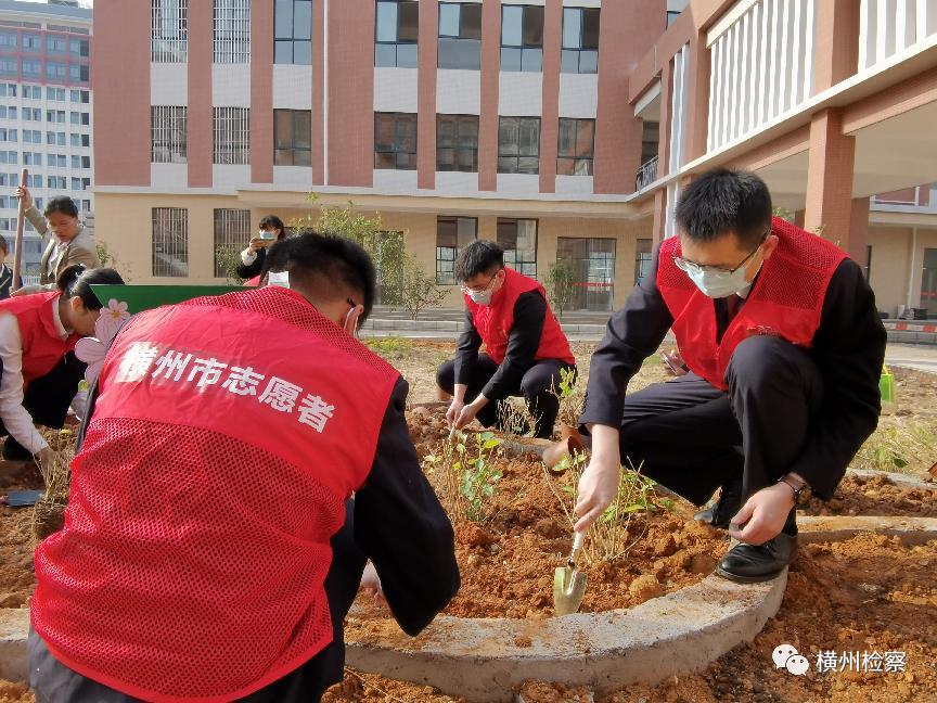 栽花育苗袋，使用、移除及深度解析图解