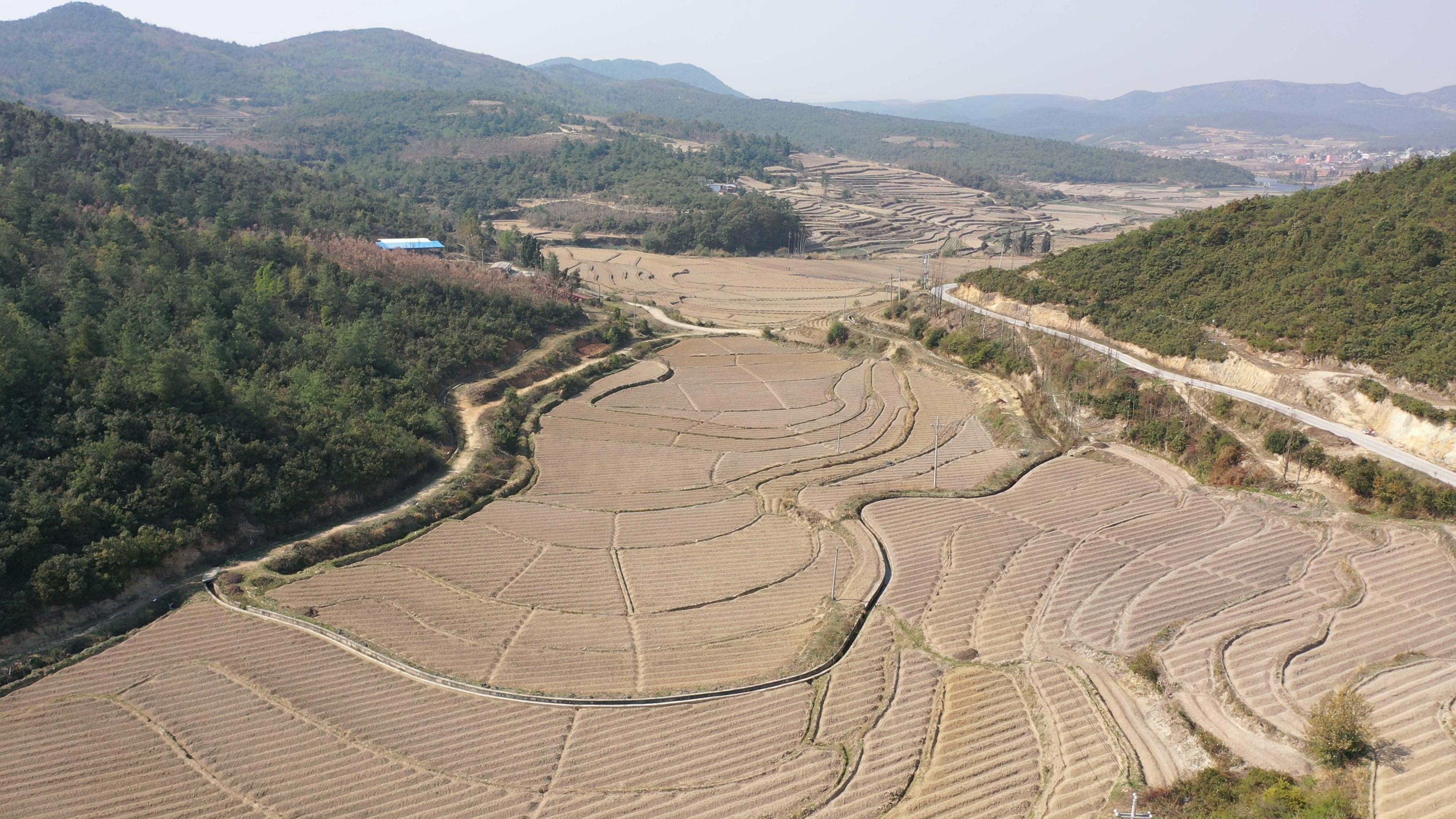 黑色塑料育苗袋分解性能研究