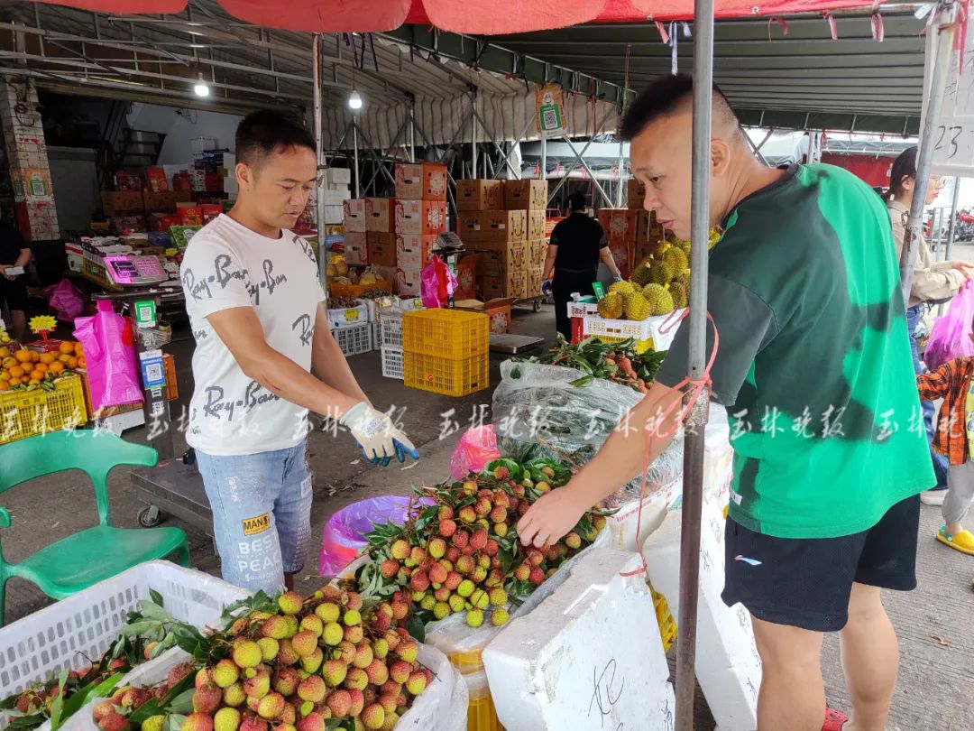 荔枝育苗袋批发店，一站式采购便捷途径