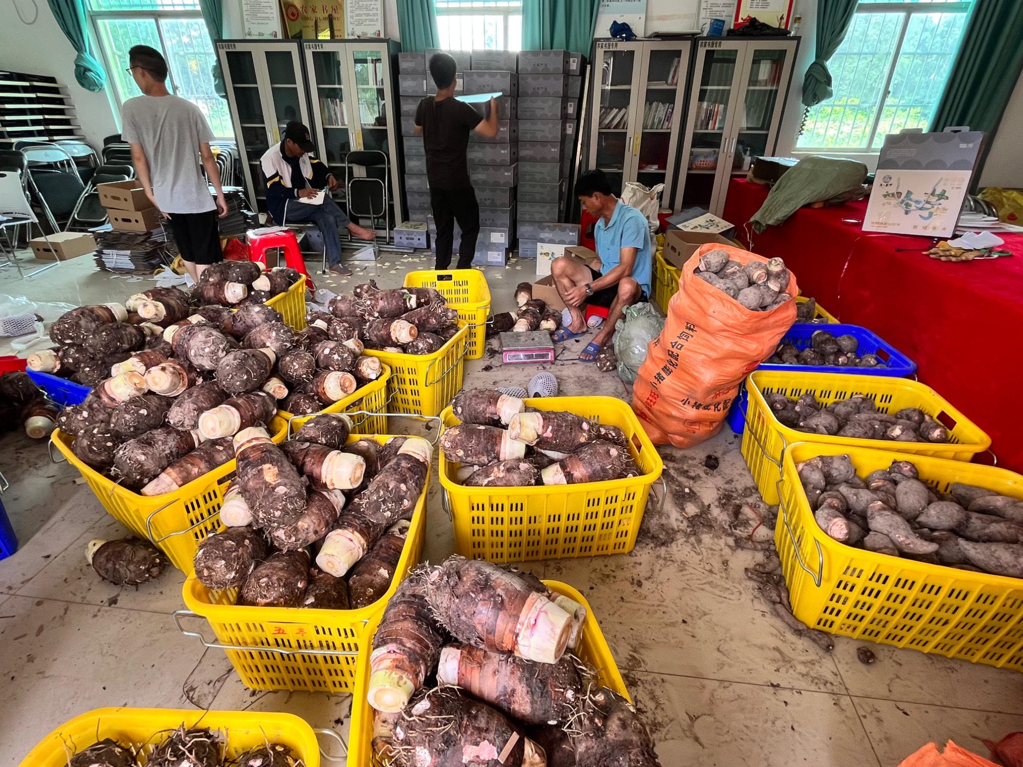 海口黑色育苗袋供应商信息及联系方式，优质育苗袋批发电话揭秘