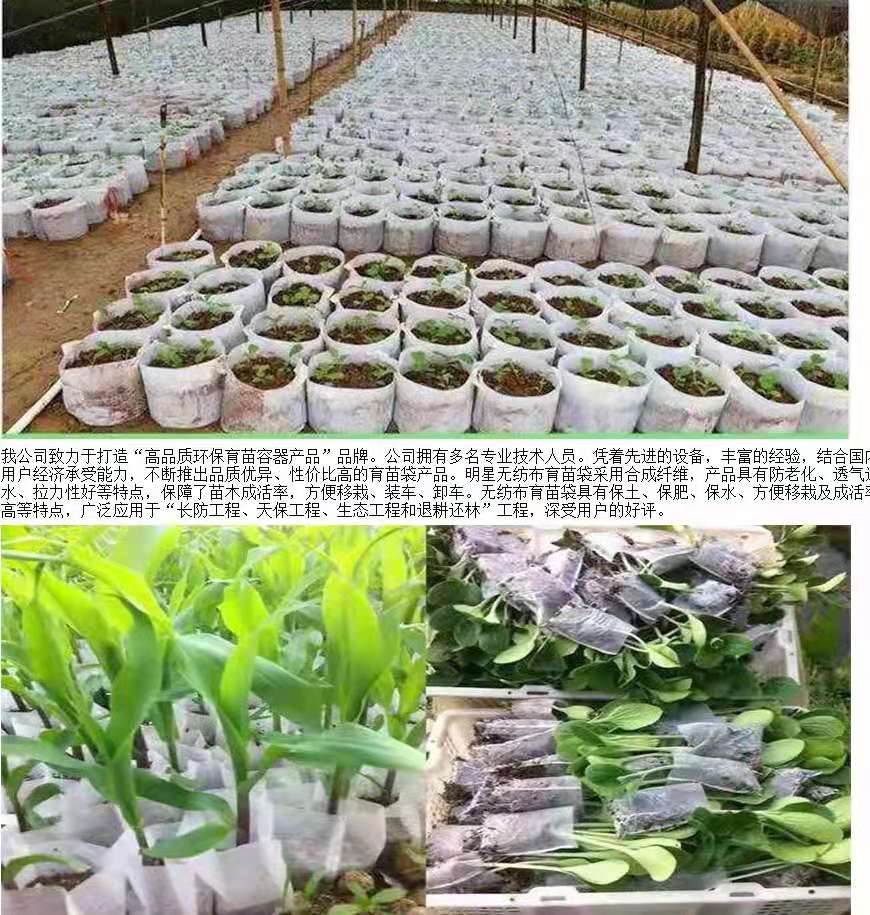 无纺育苗袋牢固性探讨