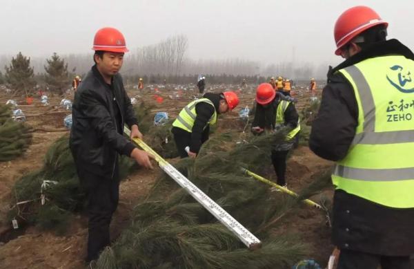 无纺布植树袋育苗容器使用详解