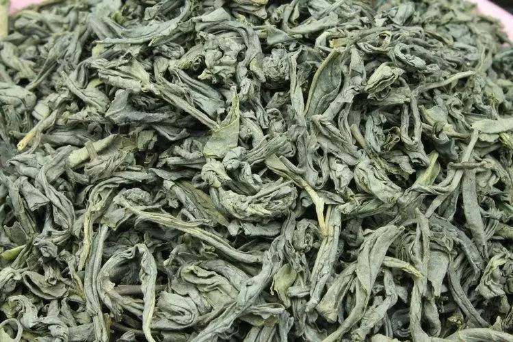 勐库大叶茶种育苗袋，现代茶叶种植业的革新引领者