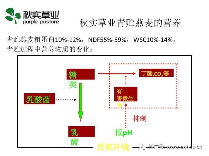 营养育苗袋生产流程全面解析