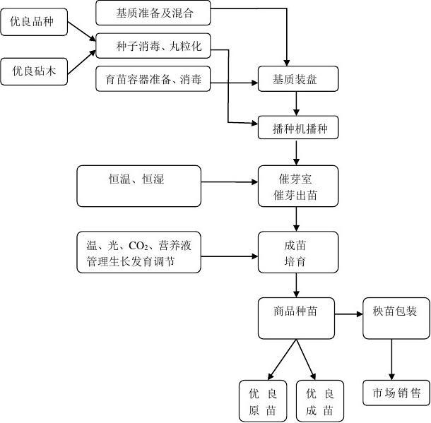 育苗袋批发进货流程图