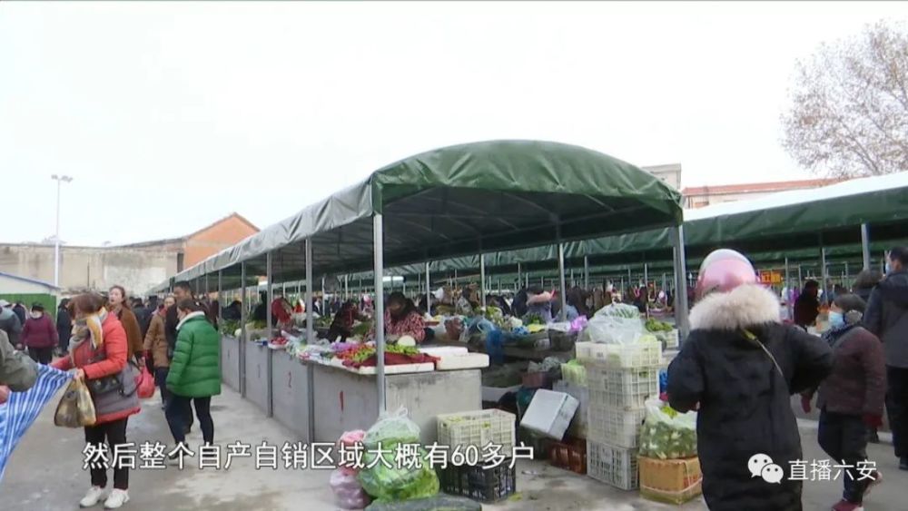 曲靖育苗袋批发市场地点揭秘，育苗袋业务的繁荣之源